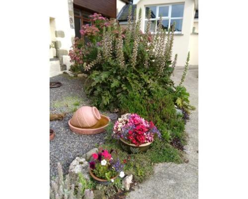 Cardigan Coastal Cottages Exterior foto